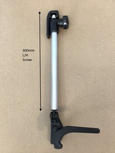 Screw L/H Window Arm